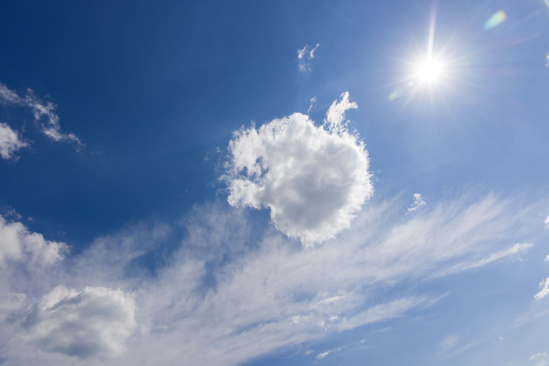 sunnisky
